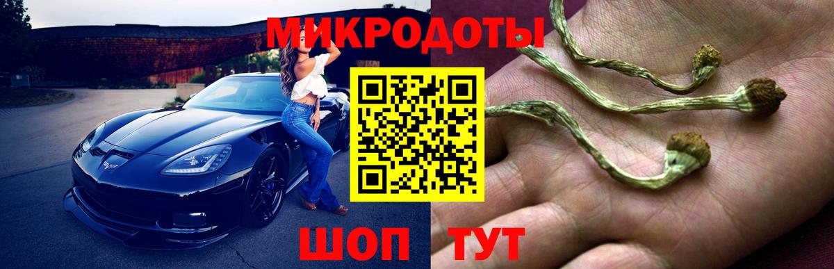 даркнет сайт  Галлюциногенные грибы Psilocybe  Вход с VPN  Гагарин 